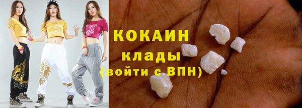 индика Пестово